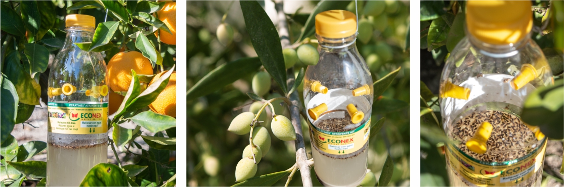 CERATINEX® ATTRACTIF KIT PUESTO EN CAMPO